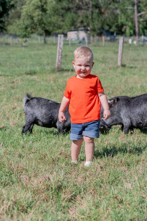 gallery-lafamilia-pygmy-goats-otyymjnjnte5n2ex.jpeg